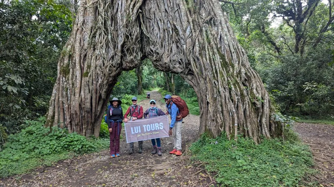 Mount Kilimanjaro trekking landscape